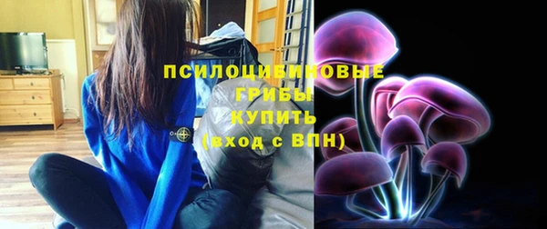 сатива Арсеньев