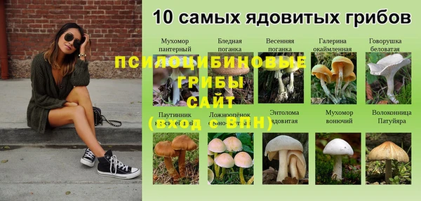 MDMA Аркадак