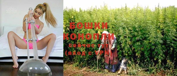 сатива Арсеньев