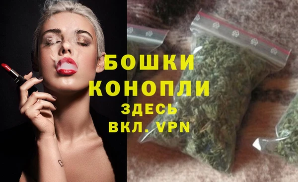 сатива Арсеньев