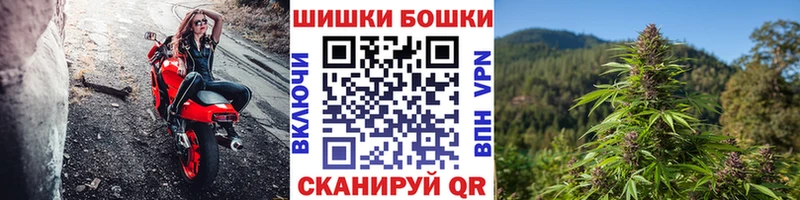 Бошки Шишки гибрид Узловая